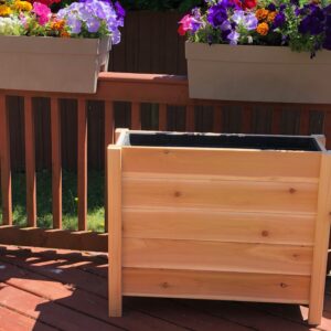 Raised Bed, Privacy Planter